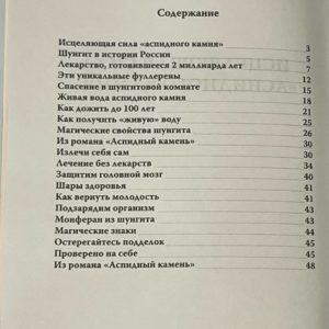 Книга "Исцеляющая сила Аспидного камня" — изображение 2