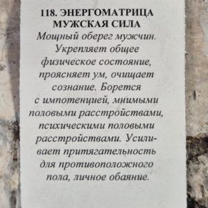 Амулет из шунгита энергоматрица Мужская сила — изображение 3