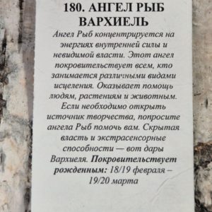 Амулет из шунгита "Ангел Рыб Вархиель" — изображение 4